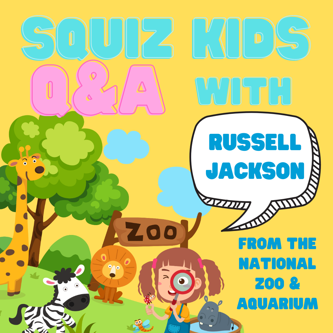 Squiz Kids Q+A with zookeeper Russell Jackson from the National Zoo and ...